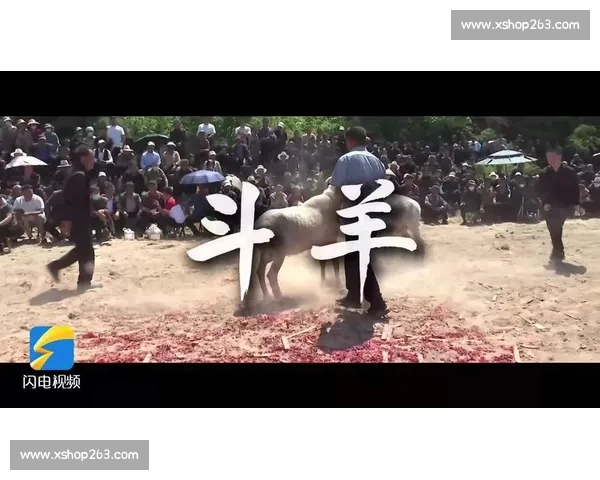 精彩斗羊比赛全程视频回顾 震撼对决尽显羊力风采