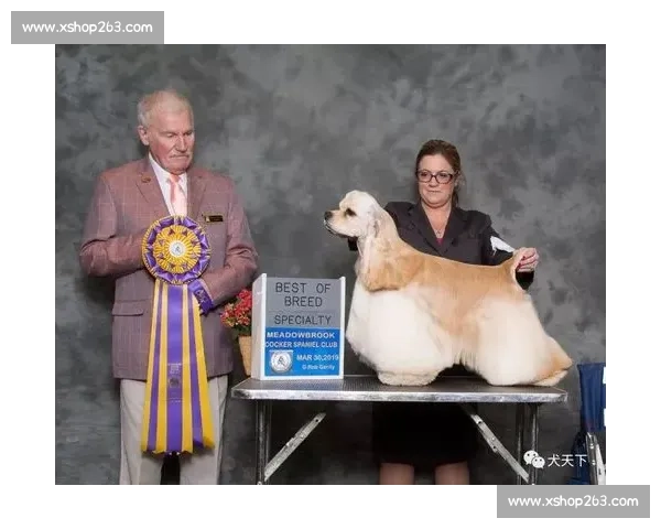 美卡犬赛场风采全纪录与训练技巧全面解析