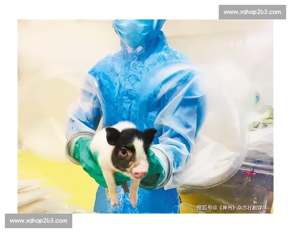 《猪健美比赛精彩上演动物界肌肉之美，强壮猪身挑战极限》
